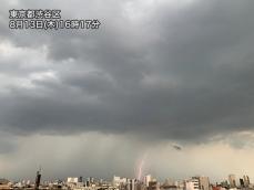 埼玉県内で50mm超の非常に激しい雨　東京都内に雷雲拡大しゲリラ豪雨に