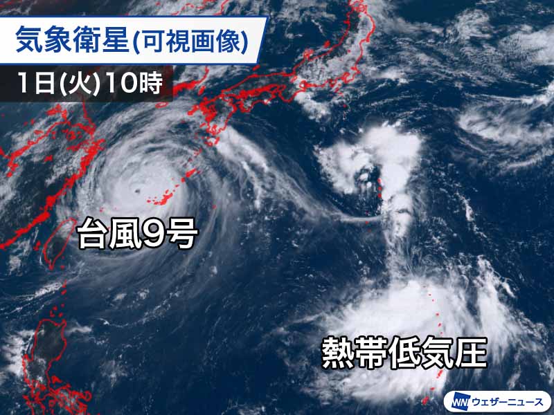 台風10号は明日2日(水)までに発生予想　急発達し日本に大きな影響のおそれ