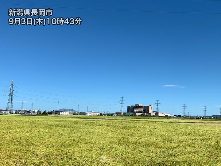 強烈なフェーン現象で新潟県で39℃　9月の日本歴代最高に迫る