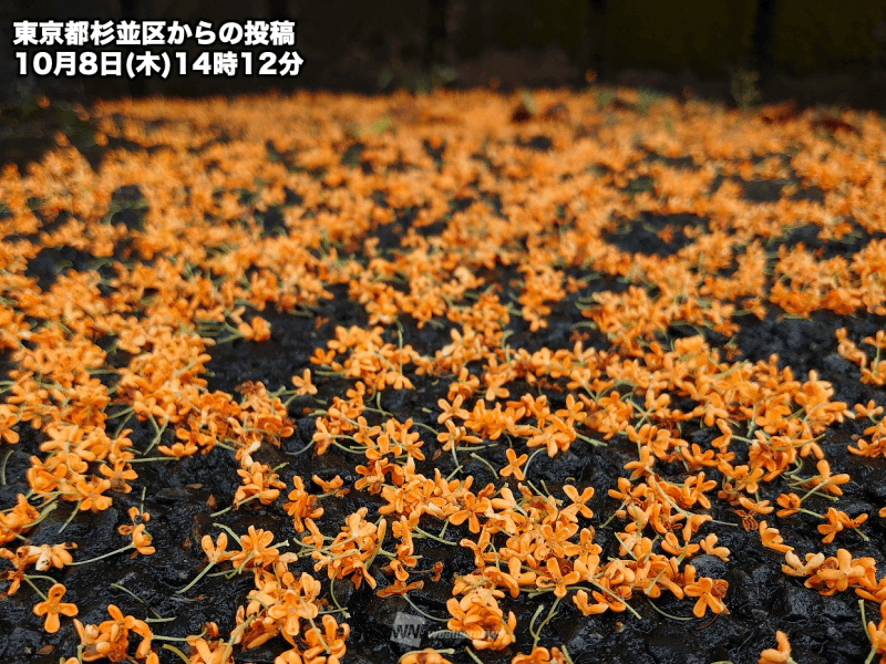 関東などで儚い秋のオレンジロード