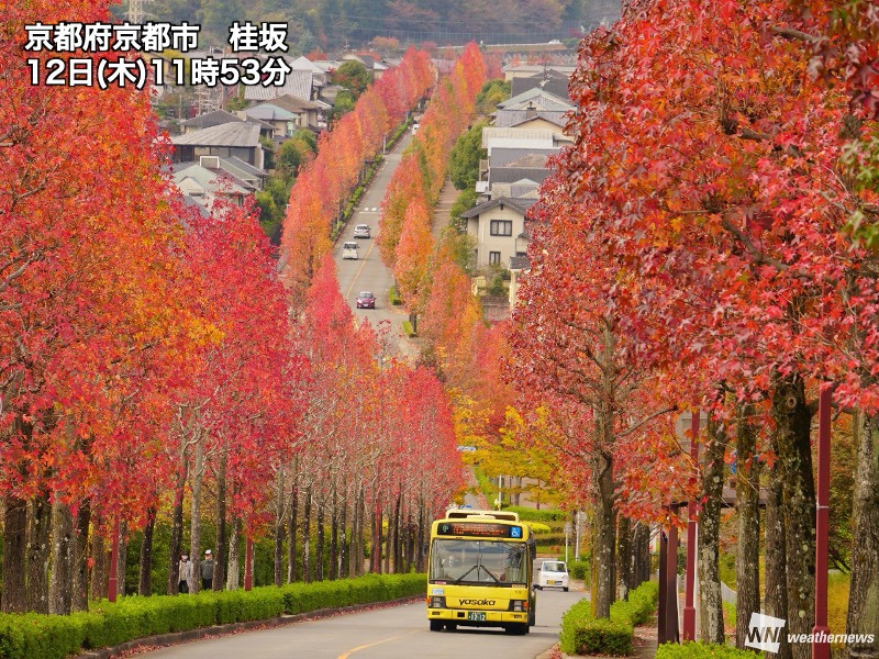 週末は関東など各地で晴天　東北南部から西日本は紅葉が見頃に