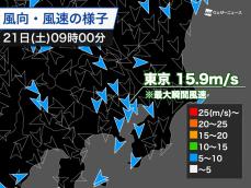 東京で最大瞬間風速15.9m/s　「木枯らし1号」以来の強い北風を観測