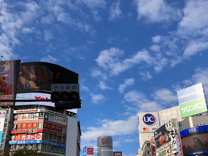 東京など関東は3日ぶりの晴れ　明日は再び冷たい雨　日差し有効活用を