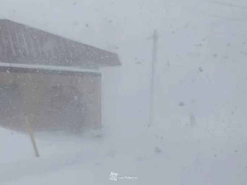 北海道は局地的にドカ雪　午前だけで20cm近い積雪増