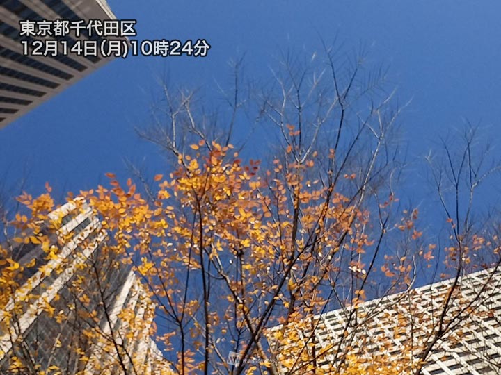 関東は太陽と北風のせめぎあい　今後は段々と北風が優勢になり寒さ増す