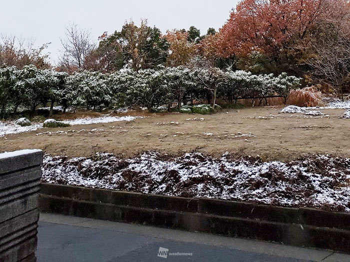 名古屋周辺で雪舞う朝　一部ではうっすら積もっているところも