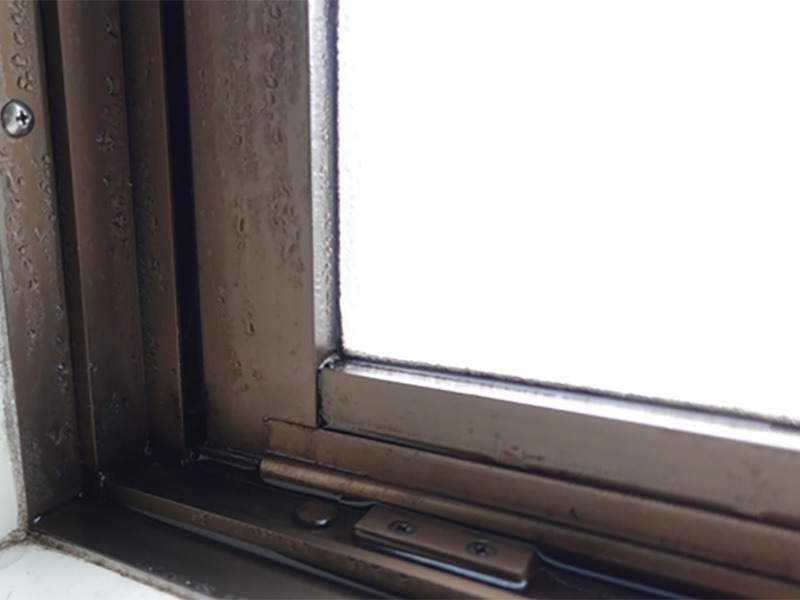 冬は窓のサッシに結露　頑固な黒カビ掃除の裏技教えます