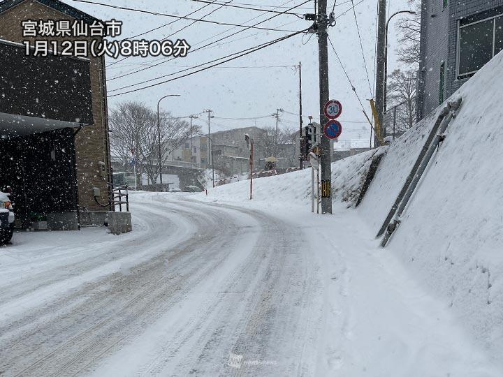 仙台は一気に5cm以上の積雪 東北は太平洋側で湿った雪に - 記事 ...