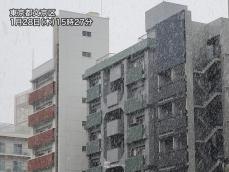 東京都心で今冬2回目の雪を観測　気温は1.3℃まで低下も積雪はなし