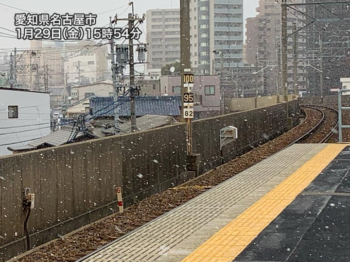 名古屋市内で雪が降り出す　芝生などうっすら白くなることも