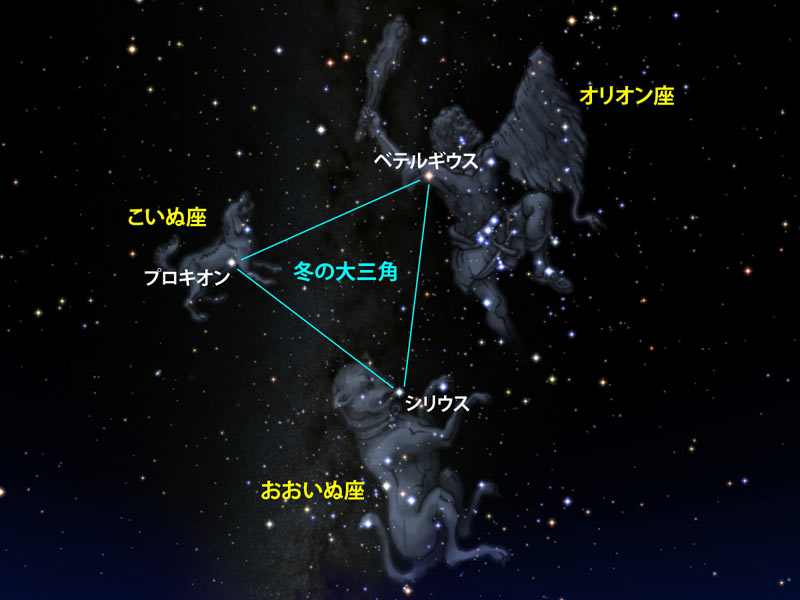 2月の星空の見どころは？　「冬の大三角」や「等間隔に3つ並ぶ赤い星」