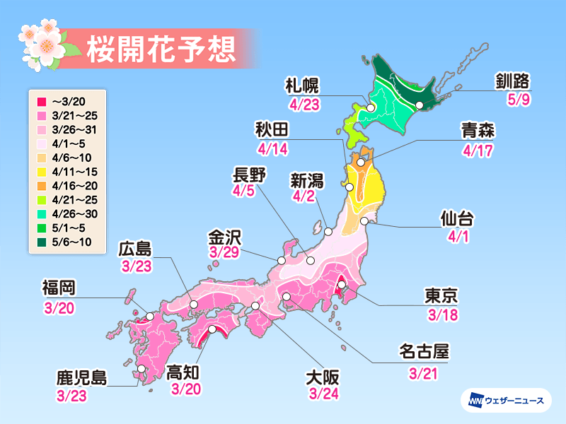桜開花予想2021　桜開花トップは東京で来月18日予想　順調な生長で全国的に平年より早い傾向