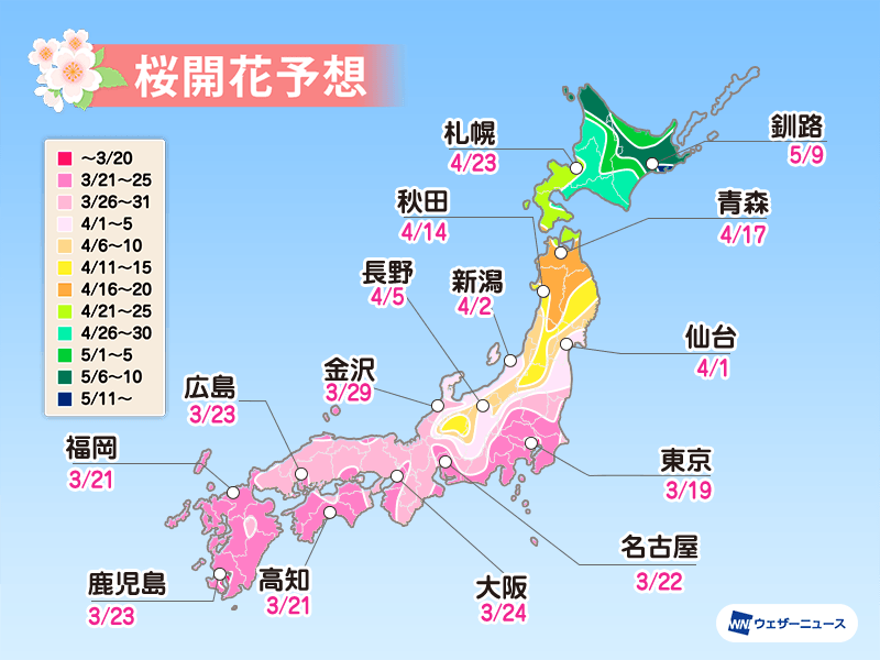 桜開花予想2021　3月19日に東京から桜開花スタートへ 全国的に平年より早い傾向