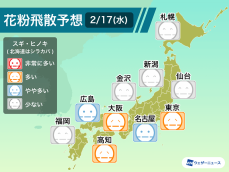 2月17日(水)の花粉飛散予想　関東は“多い”予想