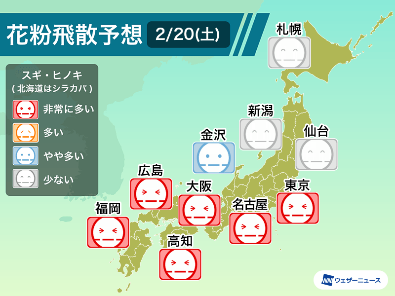 2月20日(土)の花粉飛散予想　東京や大阪など広範囲で大量飛散のおそれも