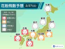 2月27日(土)の花粉飛散予想　晴れて関東以西で“多い”以上の予想