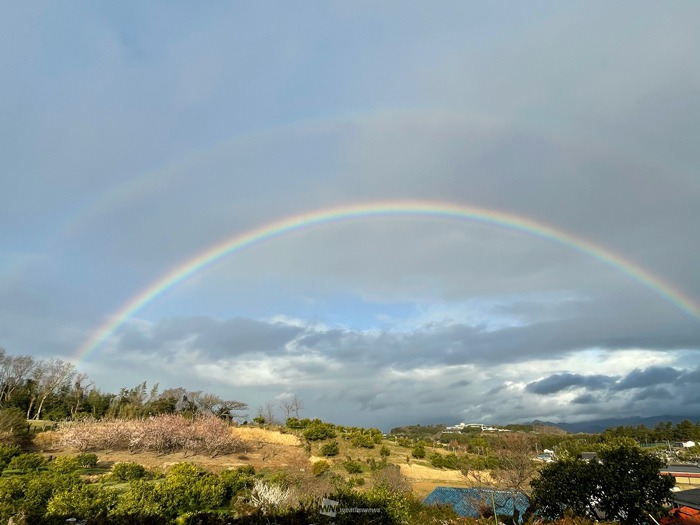 東京都や神奈川県で二重の虹 一部で七色以上の 過剰虹 も 記事詳細 Infoseekニュース