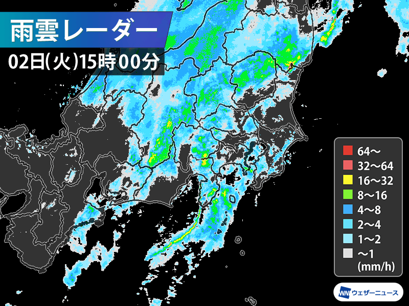 東京で本降りの雨に　最大瞬間風速20m/sを超える