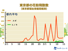 東京・名古屋・大阪でスギ花粉ピーク越え　一方、ヒノキ花粉が増加中