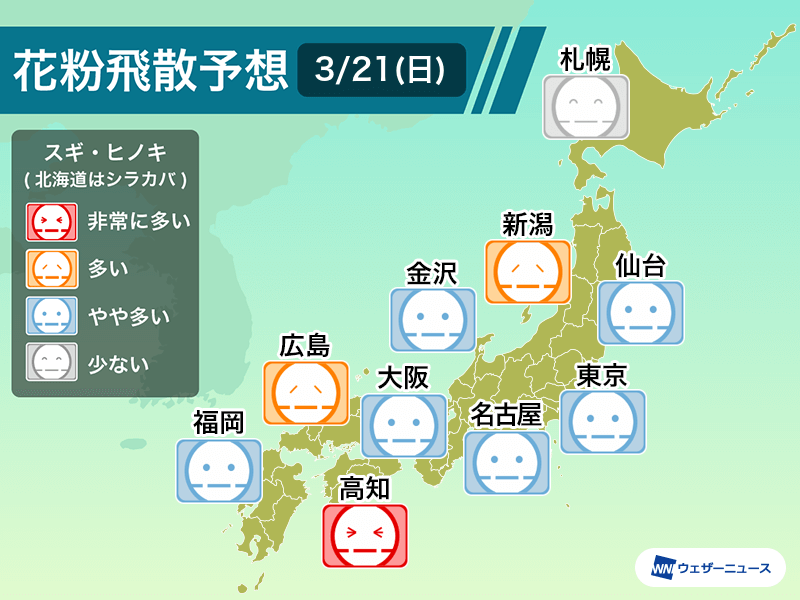 3月21日(日)の花粉飛散予想 東京など雨でも&quot;やや多い&quot;予想