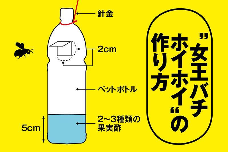女王バチホイホイ で被害を減らそう 春の捕獲は夏の大群全滅に匹敵 記事詳細 Infoseekニュース 女王バチホイホイ で被害を減らそう 春の捕獲は夏の大群全滅に匹敵 記事詳細 Infoseekニュース