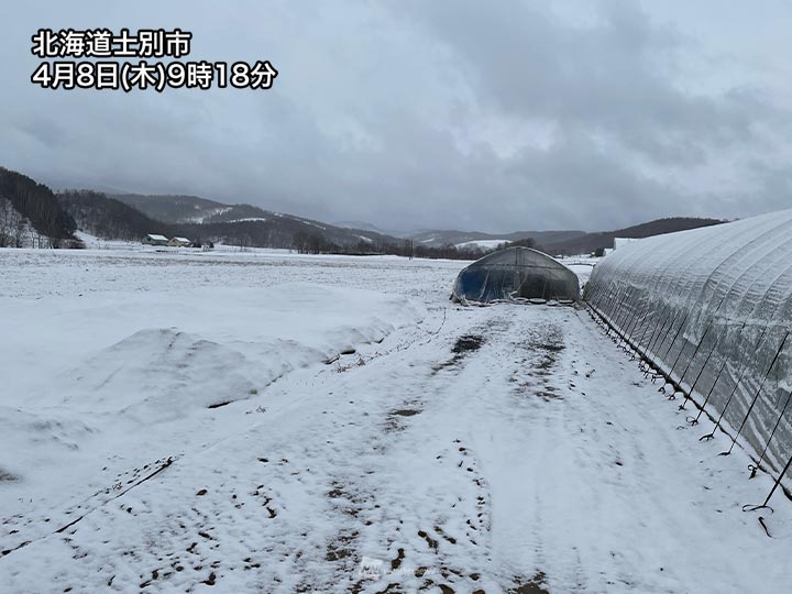 北海道は冬へ逆戻り　強い寒気南下で雪が積もりはじめる