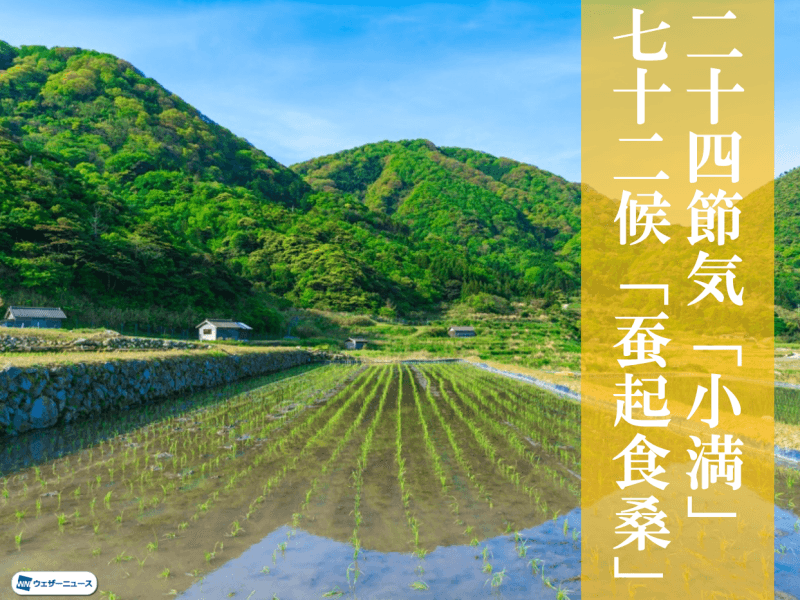 二十四節気「小満」、七十二候「蚕起食桑」　万物が活き活きする時期