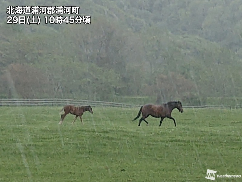 北海道で本降りの雨　夜にかけて落雷や強風にも注意