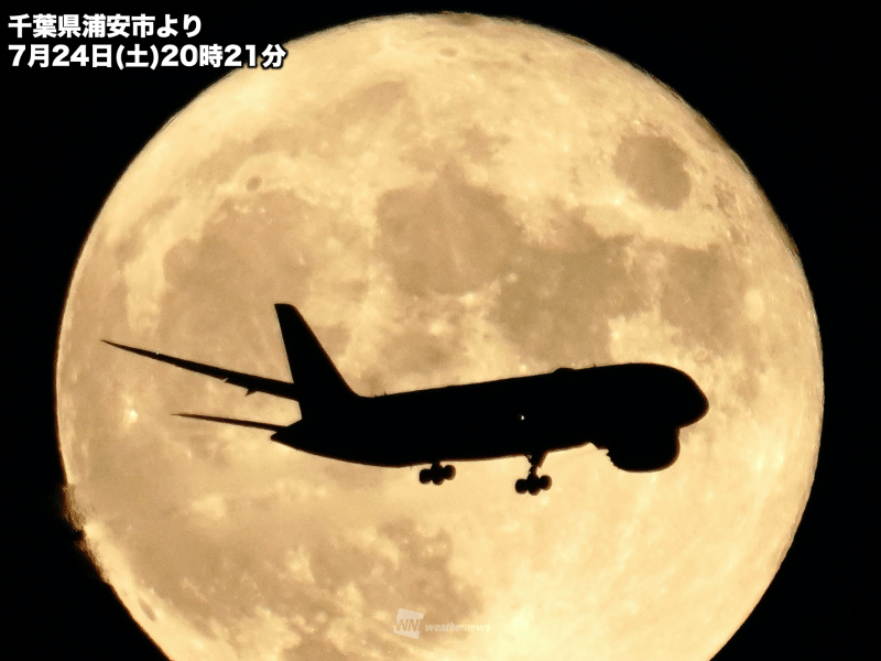 夏夜を照らす満月「バックムーン」