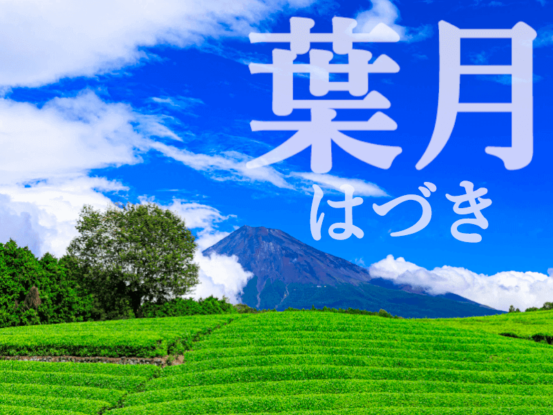 8月の異名「葉月」　語源からは早くも秋の気配