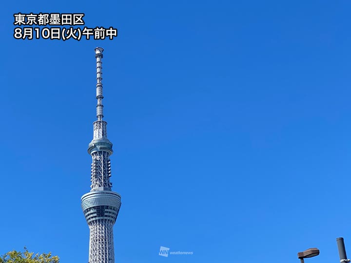 東京都心で今年初の猛暑日 台風9号から変わった低気圧の影響 記事詳細 Infoseekニュース