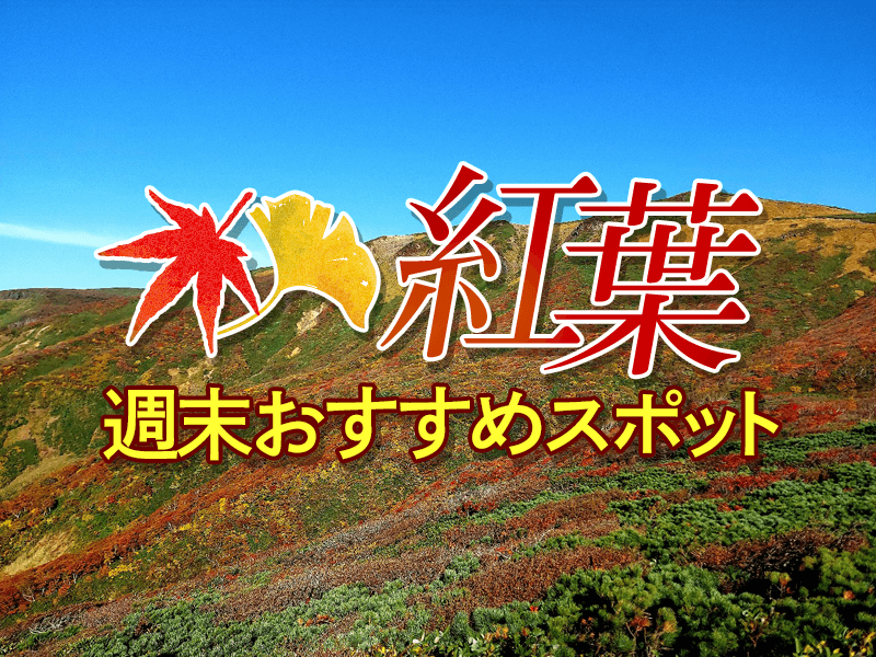 紅葉おすすめ情報　今週末は那須岳や月山で見頃に