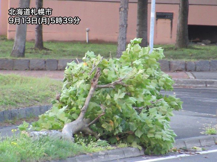 札幌で最大瞬間風速28 7m S 北海道は午後にかけて荒天に注意 記事詳細 Infoseekニュース