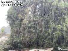 近畿から中部で強い雨　夜にかけて雷雨に注意