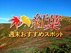 紅葉おすすめ情報　今週末は定山渓温泉や那須岳で見頃に