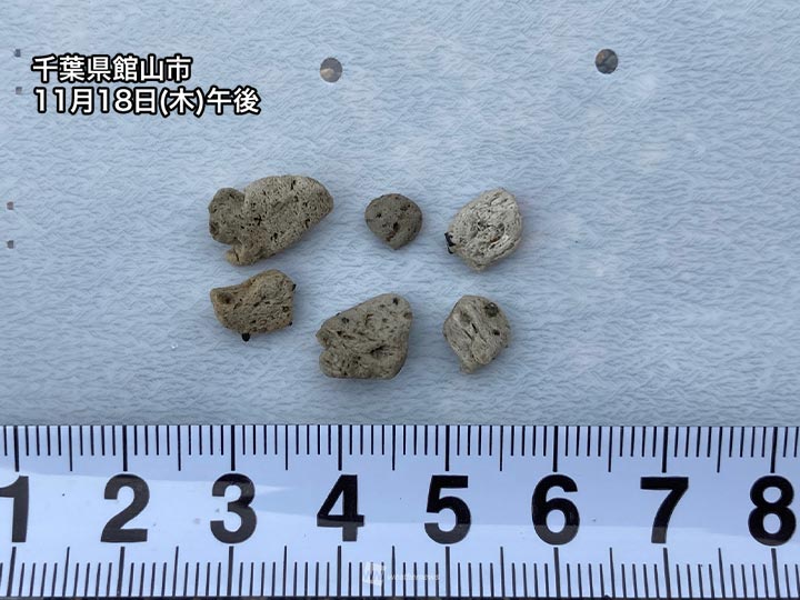 千葉県館山市で軽石を確認　今後の漂着は風も影響か