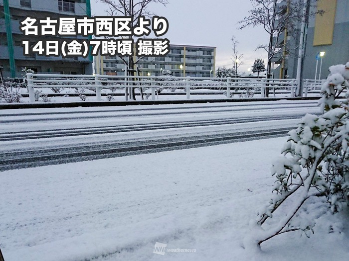 雪 Amazon.com: ZKW 6261120002 Daytime Running Bulb (Angel Eye