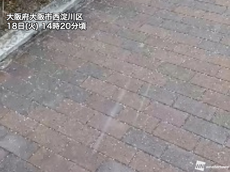 大阪で雪がちらつく　市街地で積雪の心配はなし