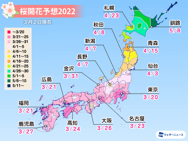 桜開花予想2022　桜開花トップは東京で3月20日　関東以西での開花は平年並