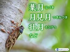 8月なのに「葉落ち月」？　たくさんある&quot;8月の異称&quot;とは