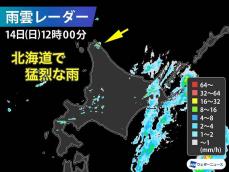 北海道で1時間に約80mmの猛烈な雨　記録的短時間大雨情報