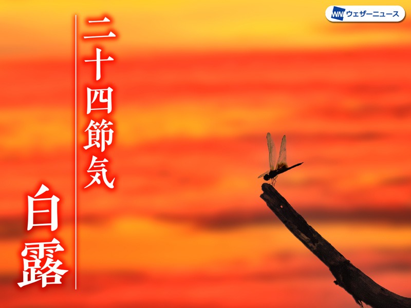 二十四節気「白露」　9月9日が“たいへん縁起がよい”理由