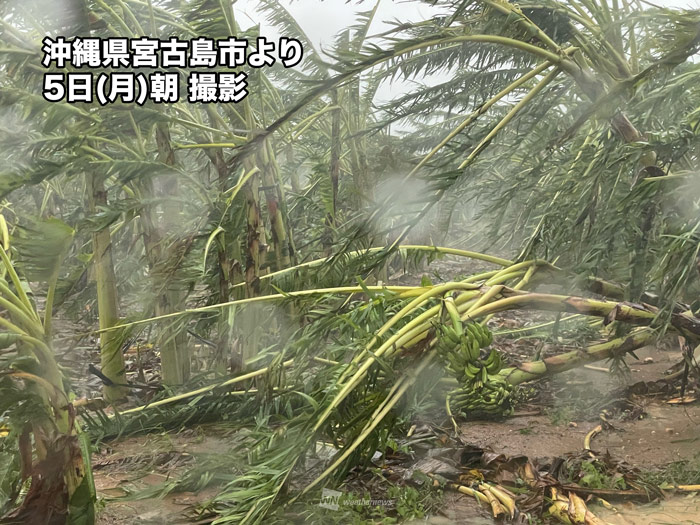 沖縄は台風11号の爪痕残る　引き続き強風と高波注意