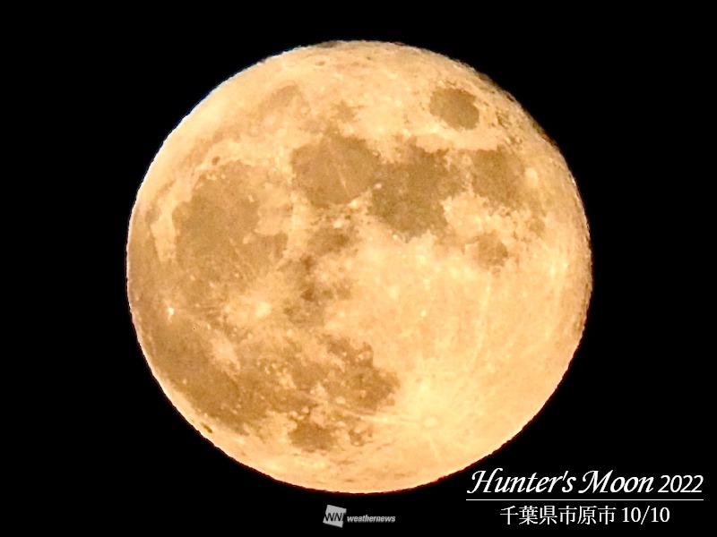 10月の満月「ハンターズムーン」 秋の夜長に浮かぶ