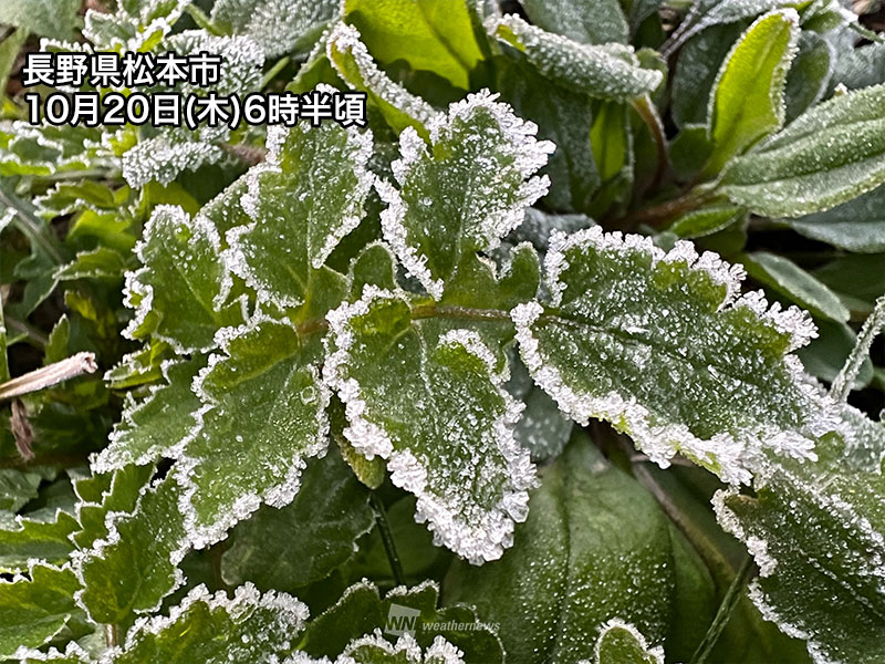 関東甲信など内陸部では霜の降りる朝　今季一番の冷え込み