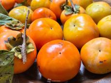10月26日は柿の日　栄養豊富な柿の健康効果とは