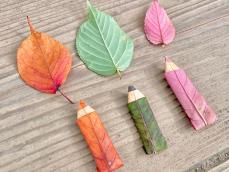 3枚の落ち葉で作れる！ “落ち葉色鉛筆”の作り方
