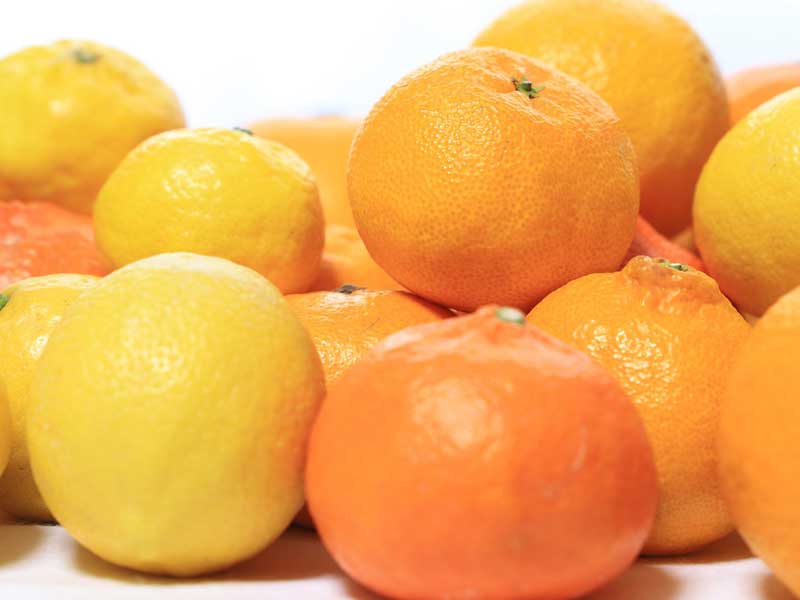 11月3日はみかんの日　甘さやすっぱさ、ひと目で好みがわかる “柑橘系果実チャート”