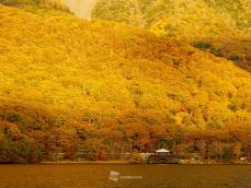 週末の紅葉おすすめ情報　関東甲信も色づき進む