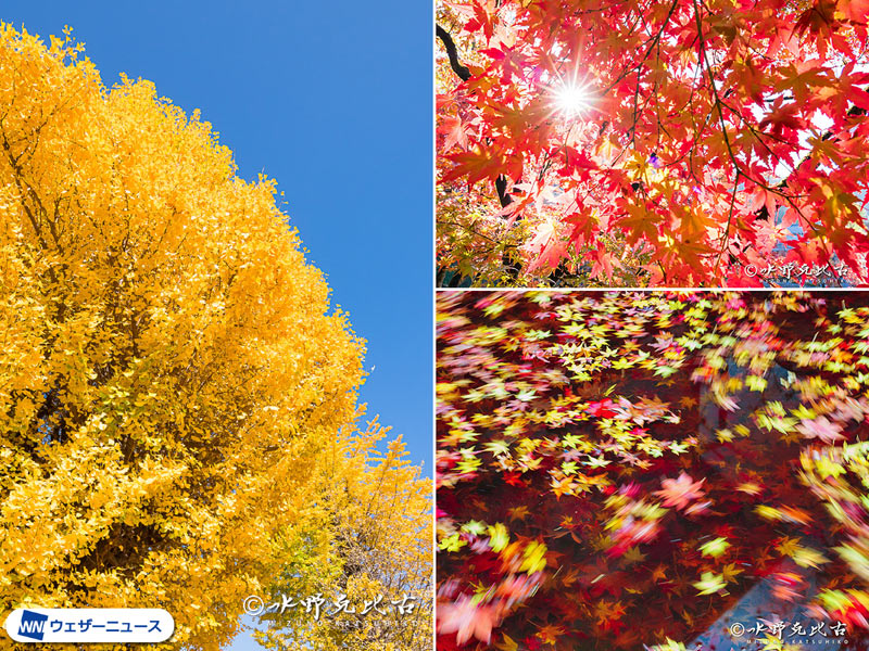 写真家・水野克比古氏に教わる紅葉写真のワンポイント撮影テクニック